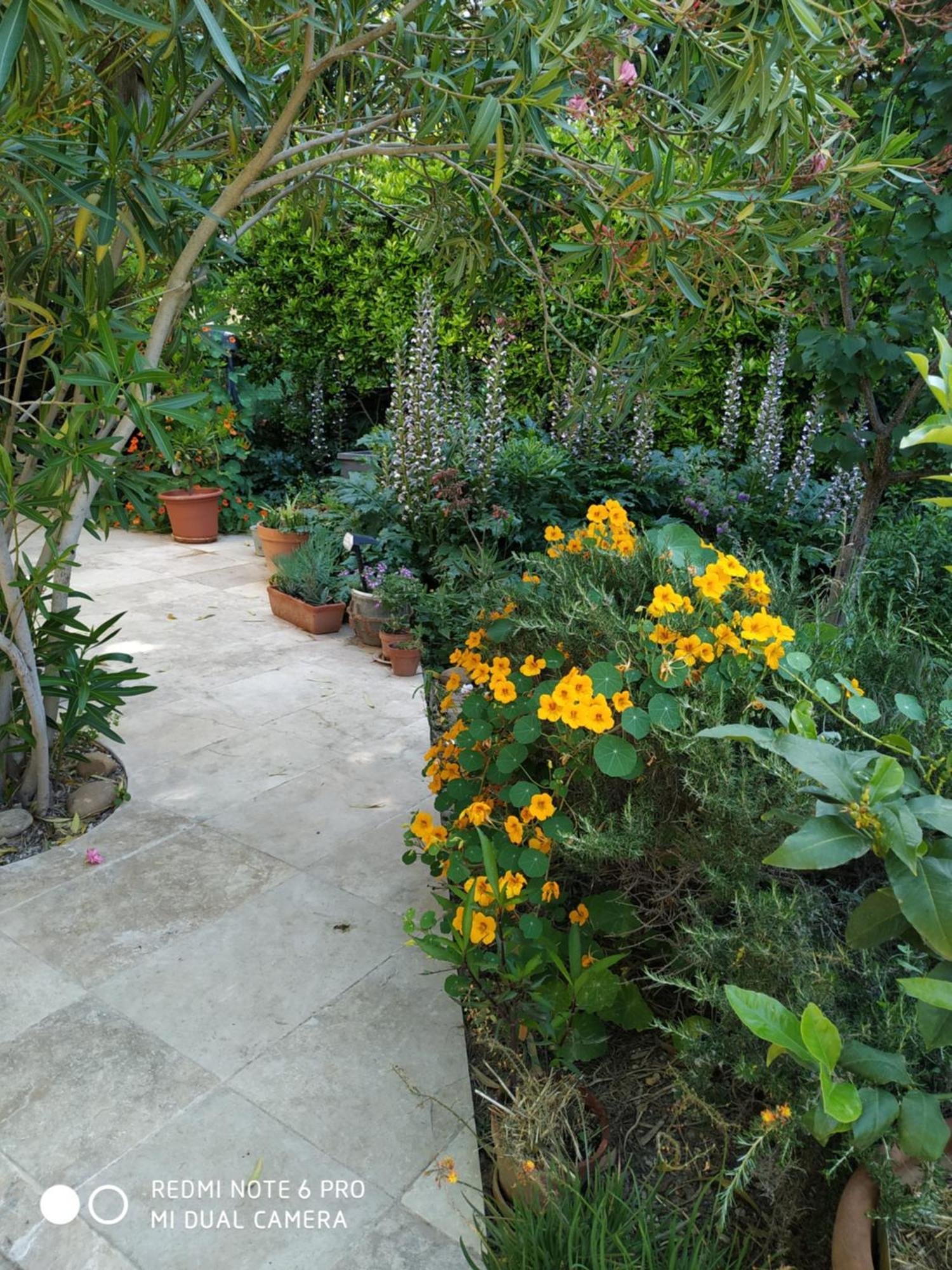 En Ville Avec Un Air De Campagne Arles Ngoại thất bức ảnh