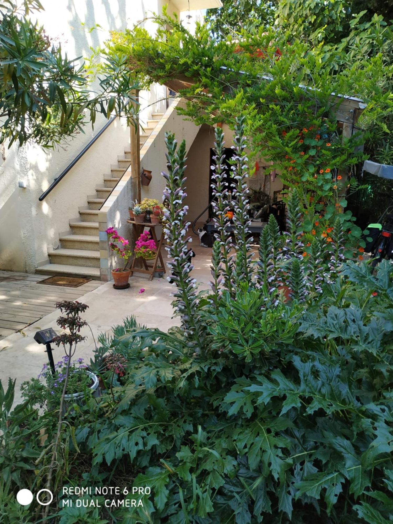 En Ville Avec Un Air De Campagne Arles Ngoại thất bức ảnh